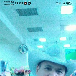 ������, ������, 52 ����