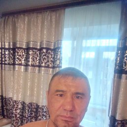 �����, 41 ���, ���