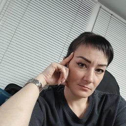 ���, 41 ���, ����������