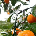 ���� �����, ������ - ��������� 18 ������ 2026