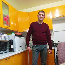 �������, 41 ���, ���������