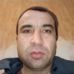 ����, ������, 41 ���