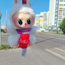 ���� �������, �����, 48 ��� - ��������� 4 �������� 2025 � ������ ���� ����������