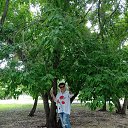 ���� ������, ���������� - ��������� 8 ���� 2025 � ������ ���� ����������