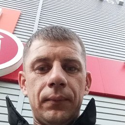 , 33,  