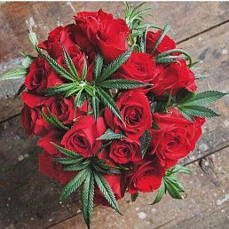 �������, ������, 26 ���