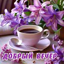 ���� �����, ������ - ��������� 15 ���� 2026 � ������ ������ ��������