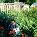 ���� ������, ��������, 66 ��� - ��������� 23 ������� 2025