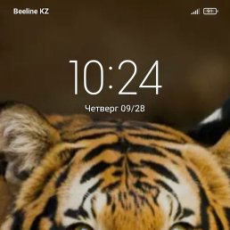 ������, �����, 39 ���