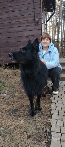 ���� �������, �����, 55 ��� - ��������� 20 ������� 2025