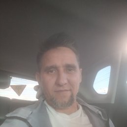 �����, 40 ���, ������