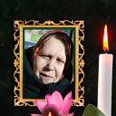 ���� �����, ����������-���������, 43 ���� - ��������� 18 ������ 2026