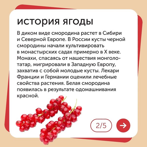 С Днем смородины. Это полезнейшая, слегла кисловатая ягода произрастает практически на каждом ... - 2