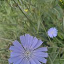 ���� �������, �����������, 44 ���� - ��������� 19 ������� 2024 � ������ ���� ����������