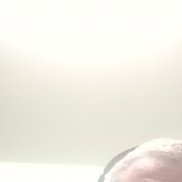 �������, 42 ����, ������
