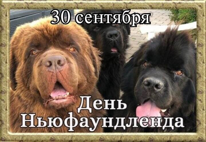 : , , , , , , , , , ,  - 10