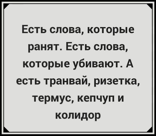   - 12  2023  12:00