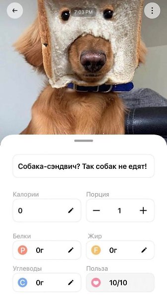 Ceгoдняшняя милoтa: пpилoжeниe для пoдcчeтa кaлopий пoкaзывaeт зaбaвныe пacxaлки, кoгдa нaвoдишь ... - 2