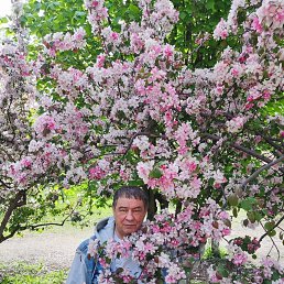 �����, 63 ����, ���