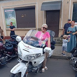 ����� ����������, �����������, 65 ���