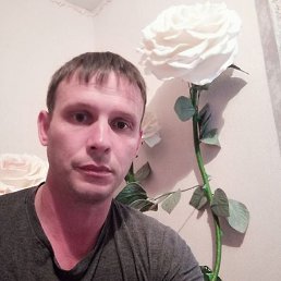 ����, 44 ����, �����