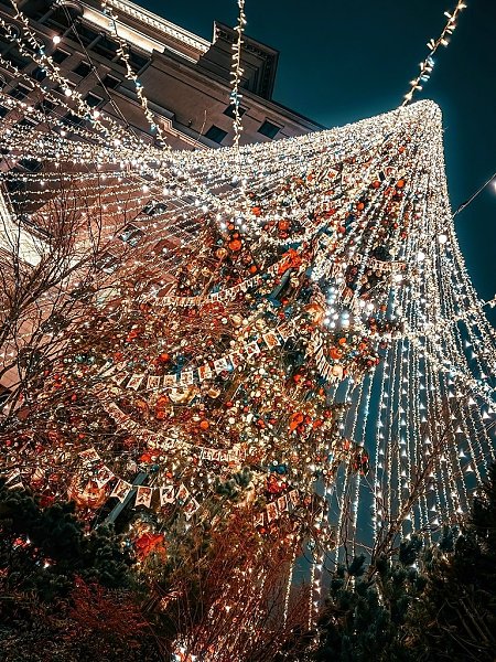 ������ - 4