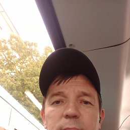 �������, 46 ���, �������