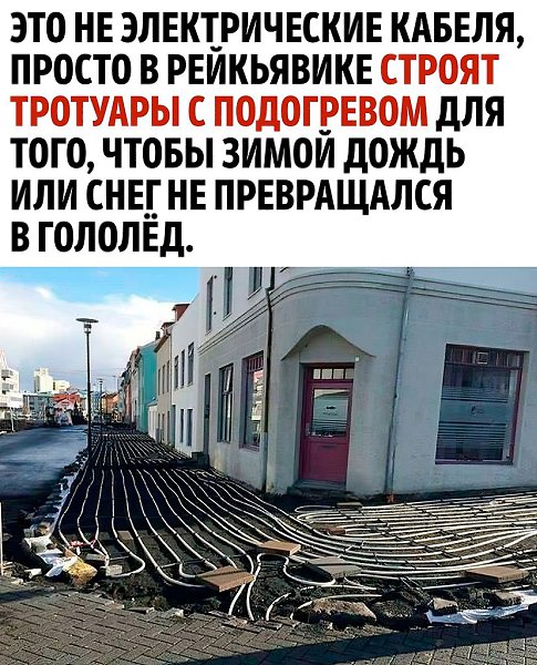 � ���� � ������ ����� ���������! �������