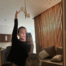 ��������� ����������, �������, 26 ���