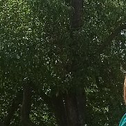 �������, , ������