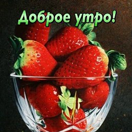 ���� ������, ��������, 49 ��� - ��������� 14 ������� 2024