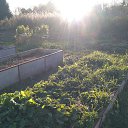  Elena, -, 76  -  8  2025