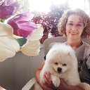 �� ������� ������� �� ������� ���� ����������