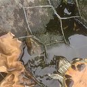 ���� ��������, ������, 65 ��� - ��������� 30 ������� 2023 � ������ ���� ����������