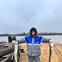 ���� �������, ������, 52 ���� - ��������� 12 ������ 2026 � ������ ���� ����������