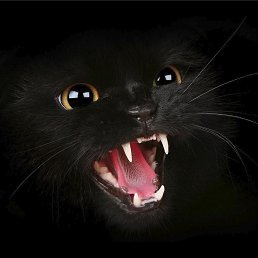 ���� ������, �������, 35 ��� - ��������� 5 ������ 2025