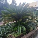 ���� �������, ���������, 59 ��� - ��������� 17 ������ 2023 � ������ ���� ����������