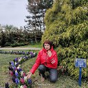 ���� �����, ������, 63 ���� - ��������� 15 ������ 2024 � ������ ���� ����������