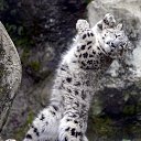 ���� ������, �����, 52 ���� - ��������� 16 ������� 2024 � ������ ������ ��������