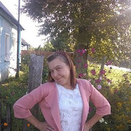 ��������, ������, 49 ���