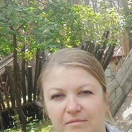 ����, 41 ���, ���������