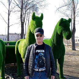 ���� ������, ������, 50 ��� - ��������� 29 ����� 2026