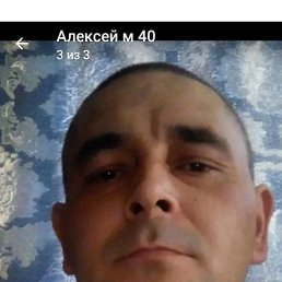 , 41, 
