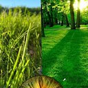 ���� ����, ���������, 18 ��� - ��������� 15 ��� 2025