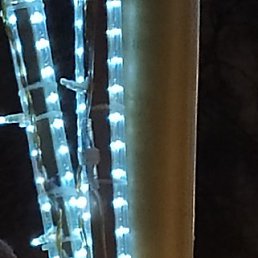 �����, ������