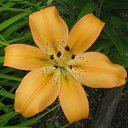 ���� �����, �������, 54 ���� - ��������� 4 ���� 2025 � ������ �����