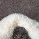 ���� ����������, ������, 26 ��� - ��������� 20 ������ 2026