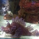 ���� ������, ����, 39 ��� - ��������� 19 ������ 2024 � ������ ���� ����������