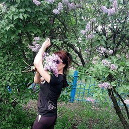 ������, ������