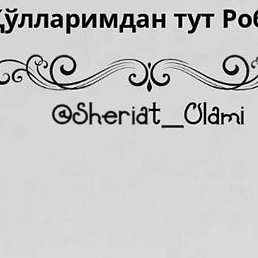 Navruzbek, �����-���������, 28 ���